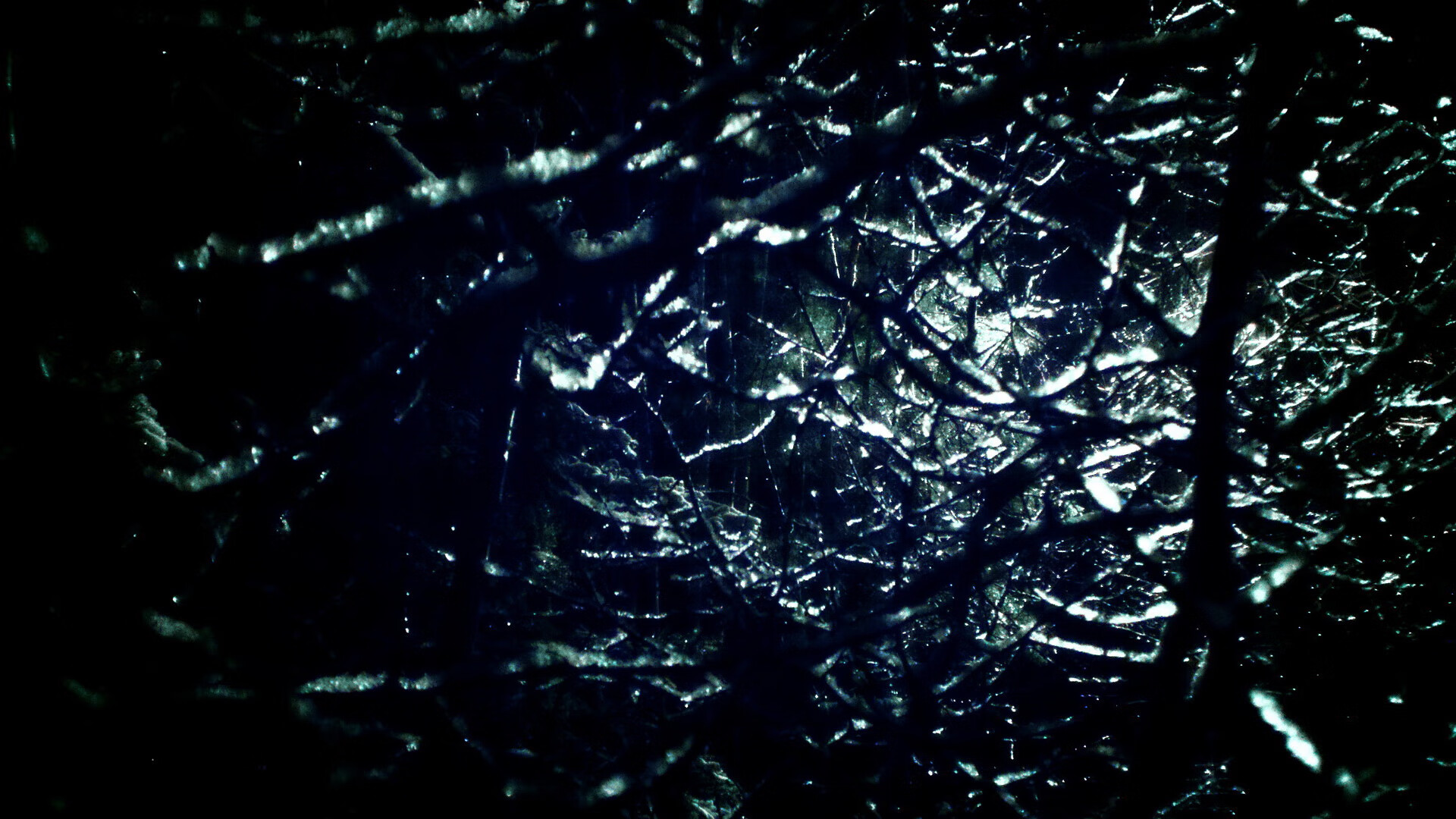 _荒漠淘金:在广袤沙丘中的耐力大比拼_,沙漠拓荒