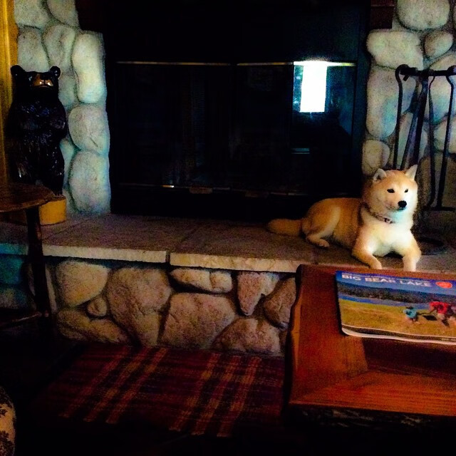 kaiyun登录入口-《Uzi开发新战术，引领王者荣耀赛场新风潮》，uzi玩王者荣耀